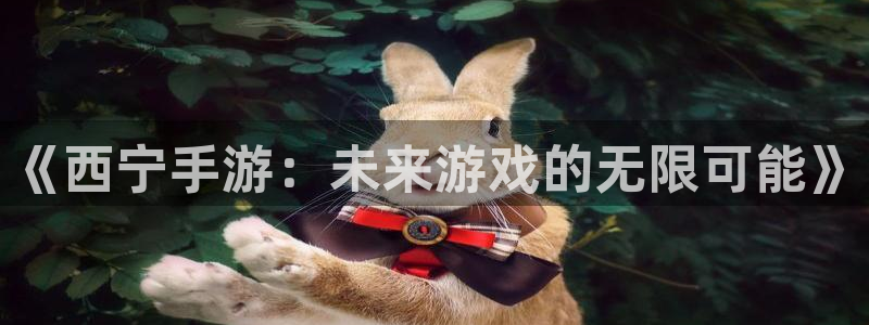 pc28开奖网站大神：《西宁手游：未来游戏的无限可能》