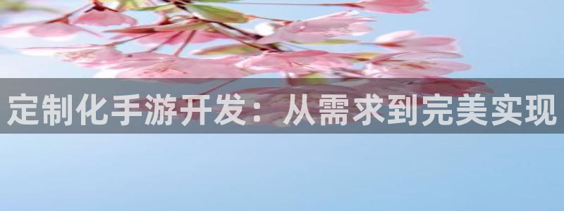 28大神官网预测：定制化手游开发：从需求到完美实现