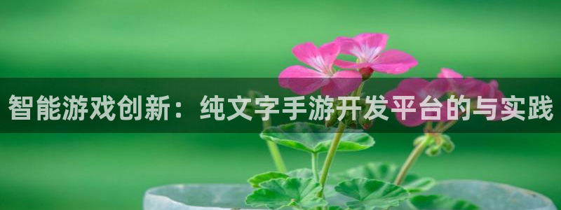 28大神预测网：智能游戏创新：纯文字手游开发平台的与实践