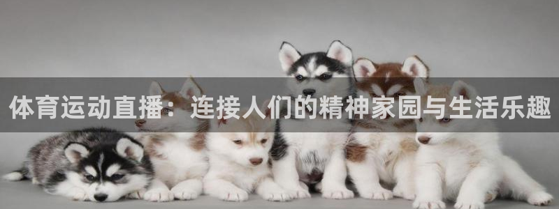 77体育官网：体育运动直播：连接人们的精神家园与生活乐趣