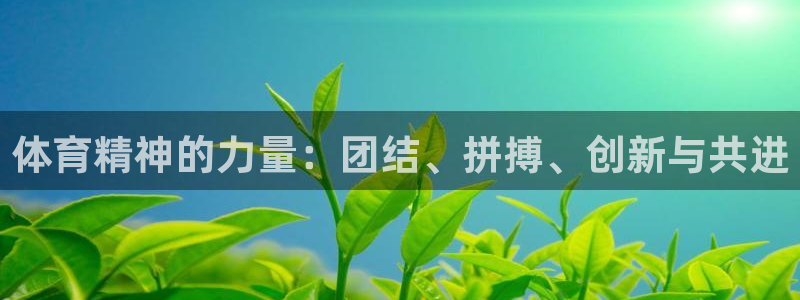 77体育app下载官网：体育精神的力量：团结、拼搏、创新与共进