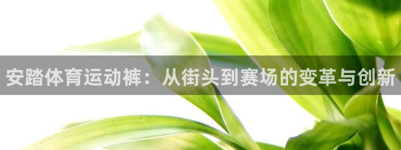 77体育：安踏体育运动裤：从街头到赛场的变革与创新