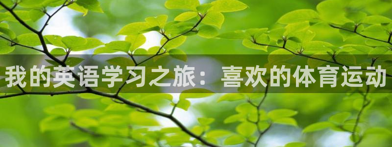 77体育：我的英语学习之旅：喜欢的体育运动