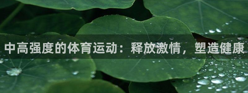 77体育官网：中高强度的体育运动：释放激情，塑造健康