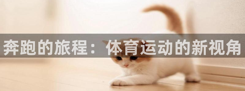 77体育app下载官网：奔跑的旅程：体育运动的新视角