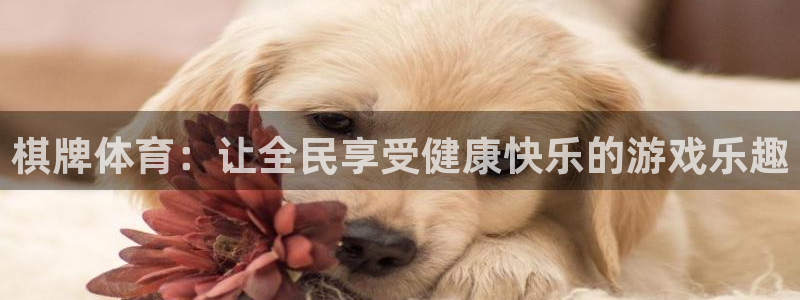 77体育：棋牌体育：让全民享受健康快乐的游戏乐趣
