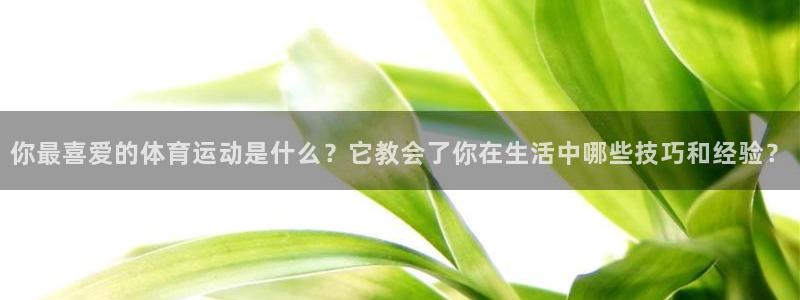 77体育官网：你最喜爱的体育运动是什么？它教会了你在生活中哪些技巧和经验？