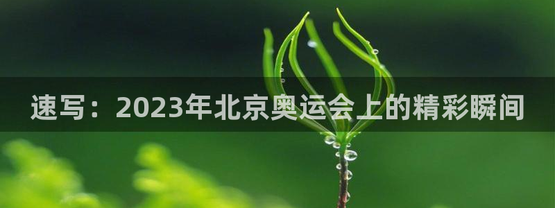 77体育官网：速写：2023年北京奥运会上的精彩瞬间