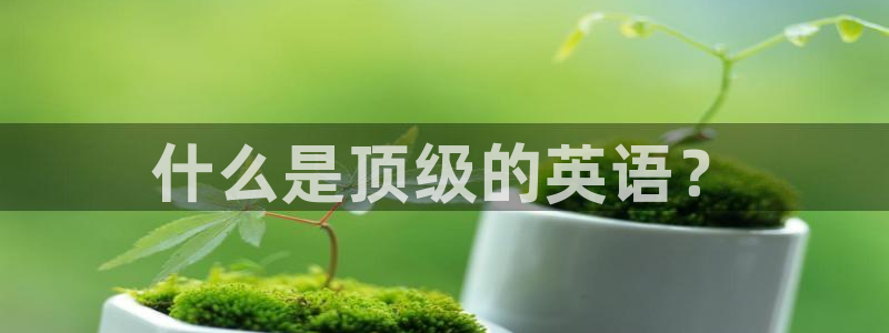 77体育：什么是顶级的英语？